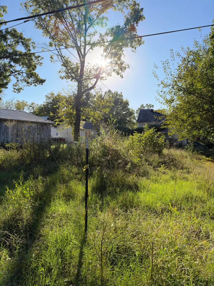 603 Church Street, Golden City, MO 64748 - #3
