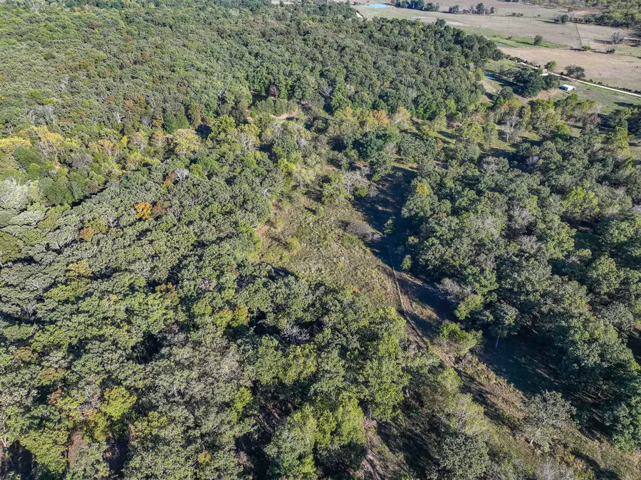 000 S 2125 Road, Stockton, MO 65785 - #3