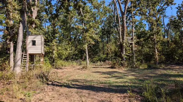 000 SE 731 Road, Collins, MO 64738