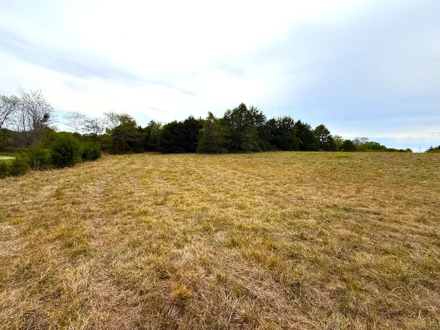 000 E Highway Tract 4, Eagle Rock, MO 65641 - #3
