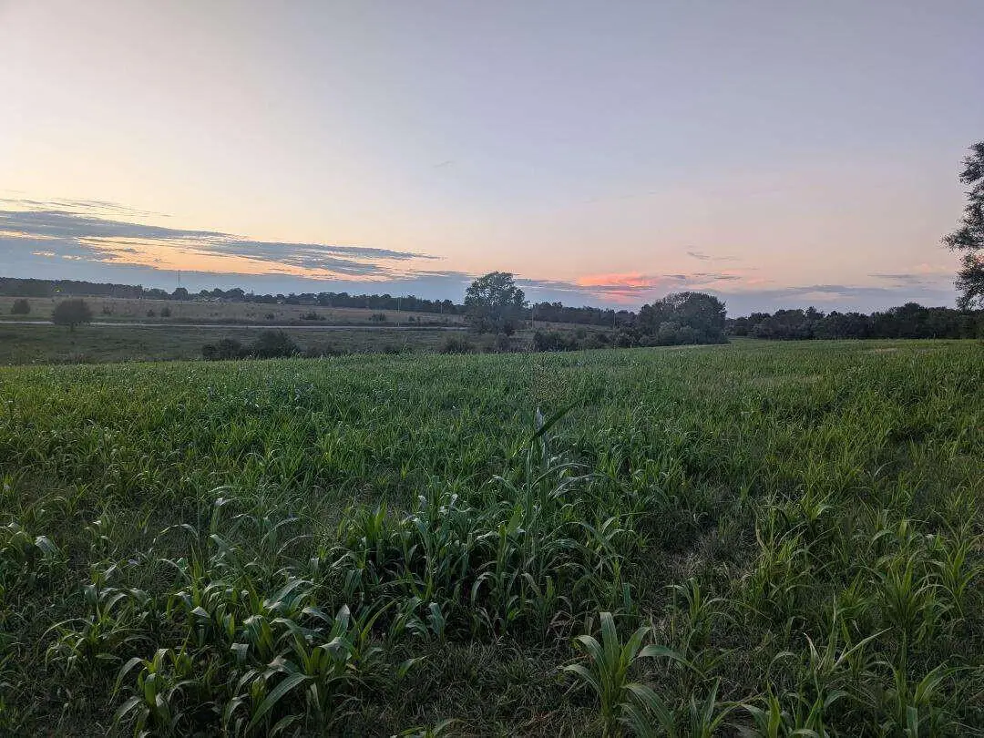 0 W Farm Road 194, Republic, MO 65738 - #1