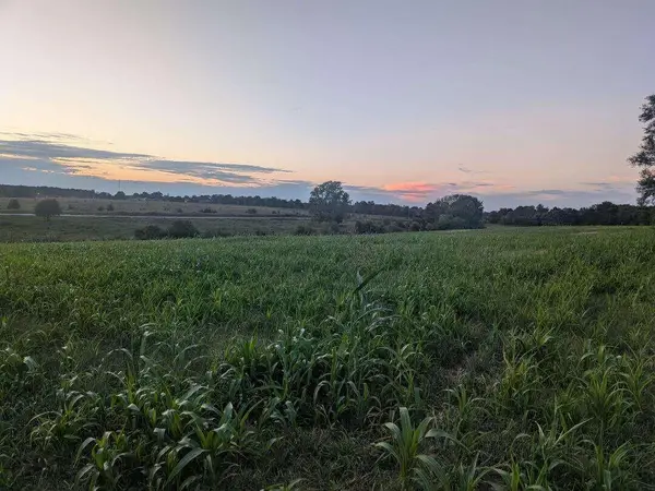 0 W Farm Road 194, Republic, MO 65738