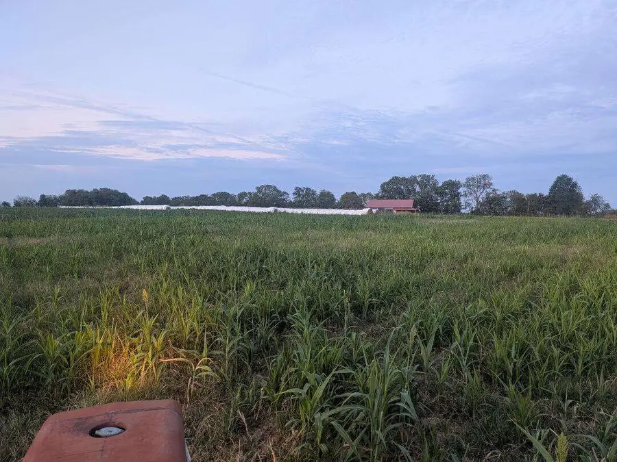 0 W Farm Road 194, Republic, MO 65738 - #2