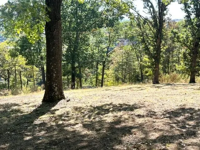 000 Lillian Lane, Kimberling City, MO 65686 - #3