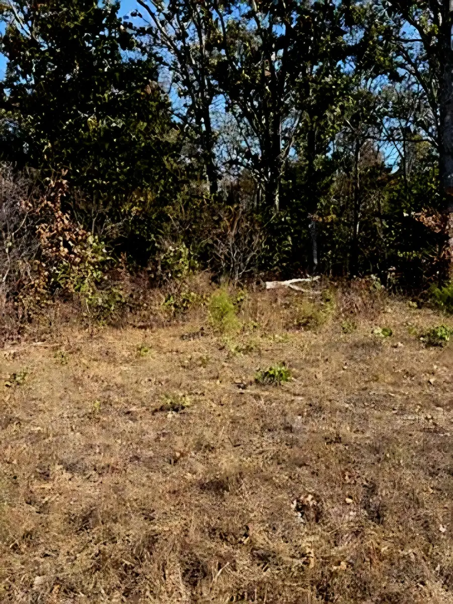 000 Yy Highway, Cabool, MO 65689 - #2