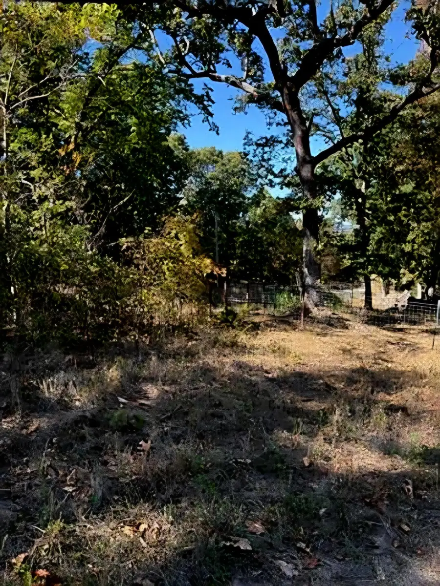 000 Yy Highway, Cabool, MO 65689 - #3
