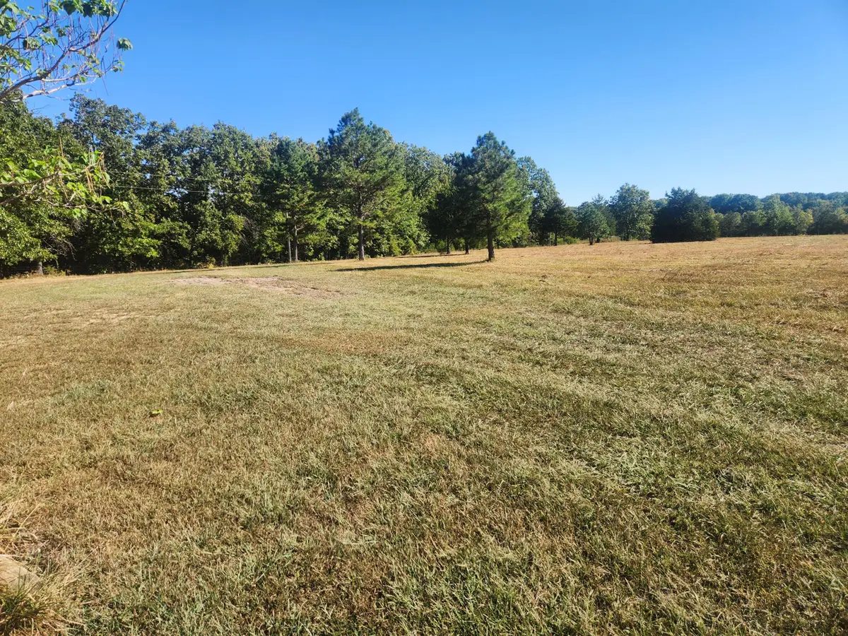 2065 Normandy Road, Fordland, MO 65652 - #1