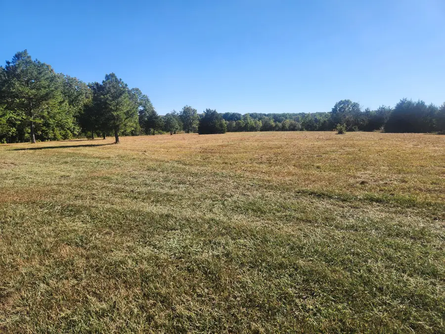 2065 Normandy Road, Fordland, MO 65652 - #2