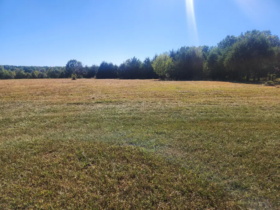 2065 Normandy Road, Fordland, MO 65652 - #3