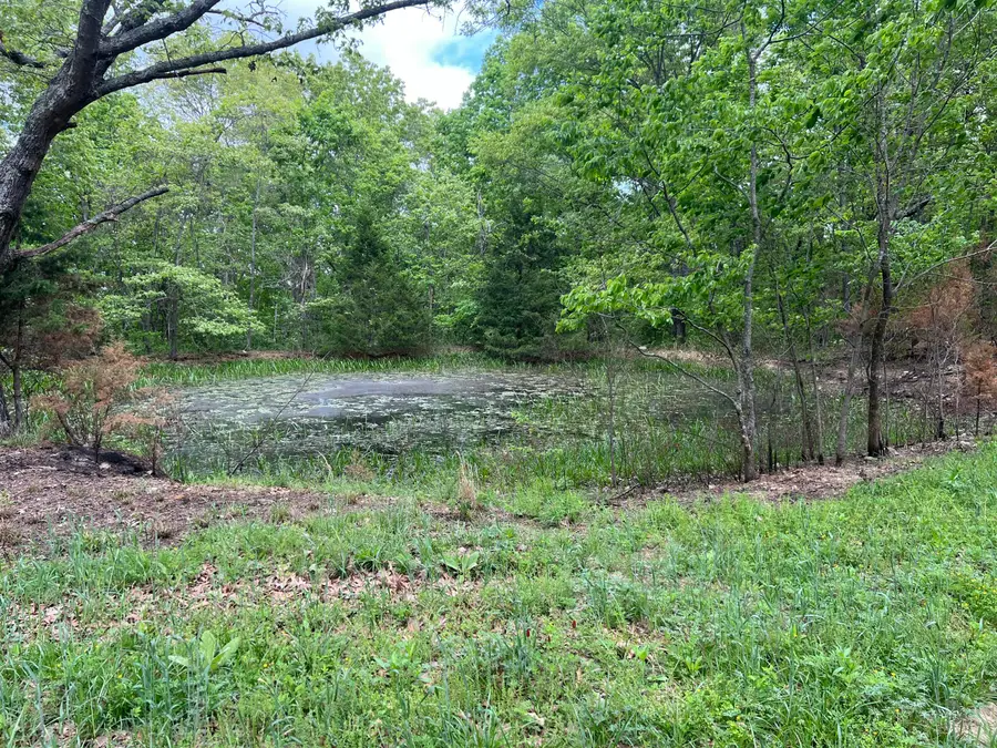 000 County Road 321, Ava, MO 65608 - #3