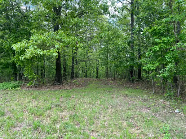 000 County Road 321, Ava, MO 65608