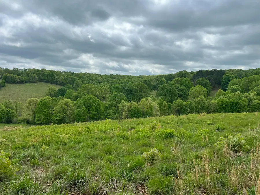 000 County Road 321, Ava, MO 65608 - #2