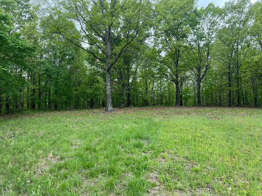 000 County Road 321, Ava, MO 65608 - #3