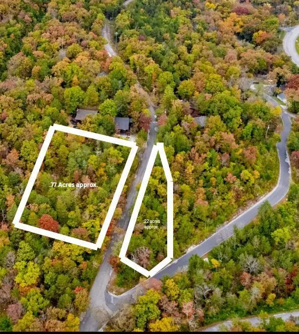 Tbd Taneycomo Hill Drive, Hollister, MO 65672 - #2