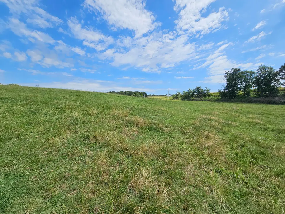 10 Acres State Highway F, Anderson, MO 64831 - #1