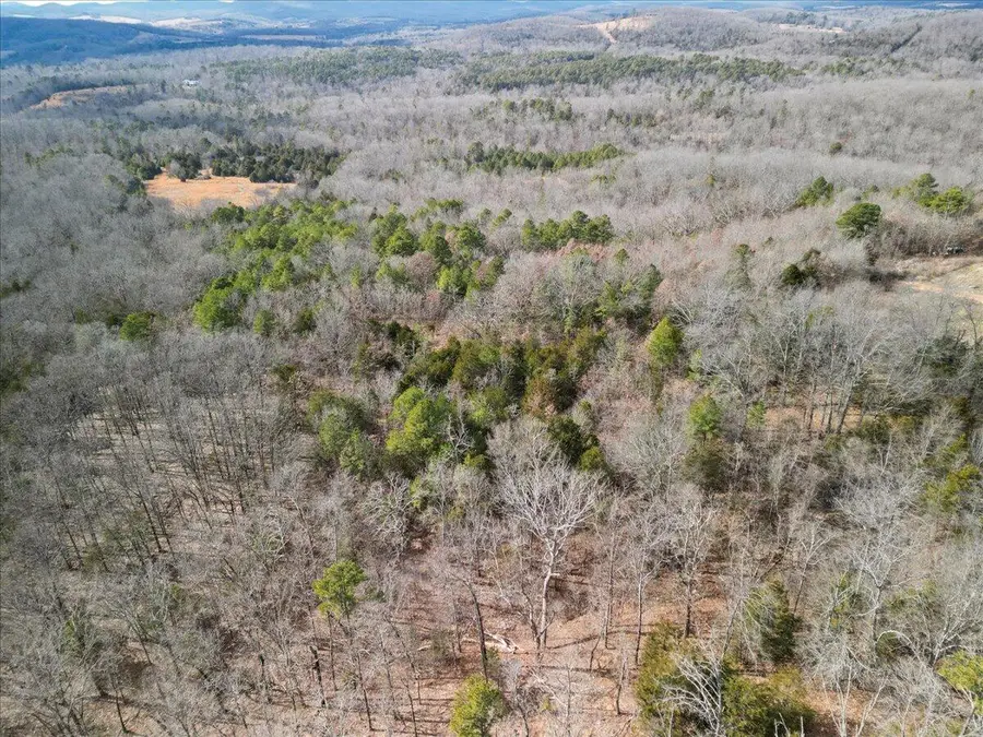 10139 State Highway Ff, Zanoni, MO 65784 - #3