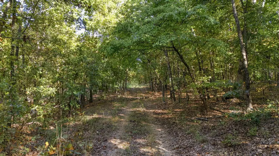 000 County Road 9400, West Plains, MO 65775 - #3