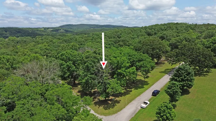 000 Farm Road 1268, Golden, MO 65658 - #2