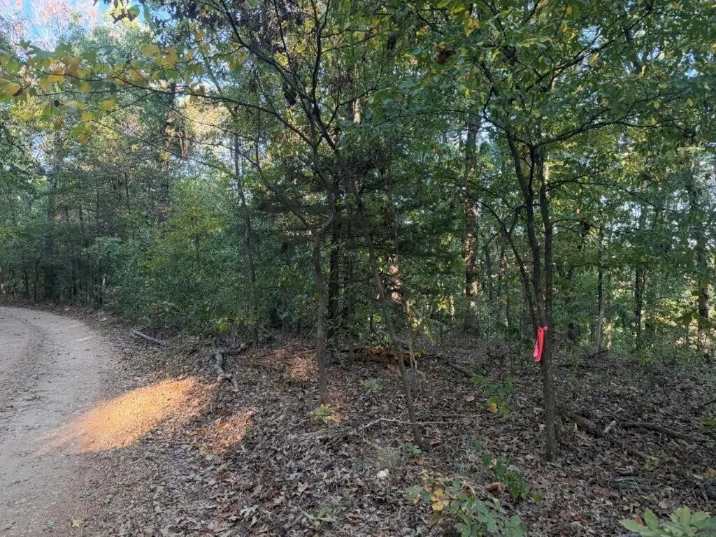 000 Skylark Road, Washburn, MO 65772 - #1