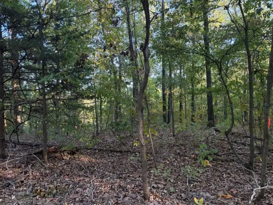 000 Skylark Road, Washburn, MO 65772 - #3