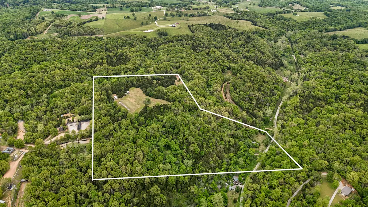 263 Shop Hollow Road, Galena, MO 65656 - #1