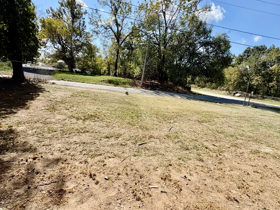 102 N Dalton Street, Everton, MO 65646 - #3