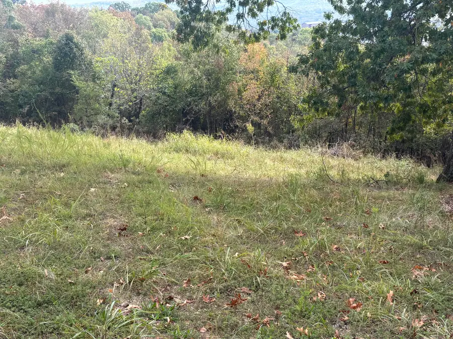 105 James River Road, Kimberling City, MO 65686 - #2