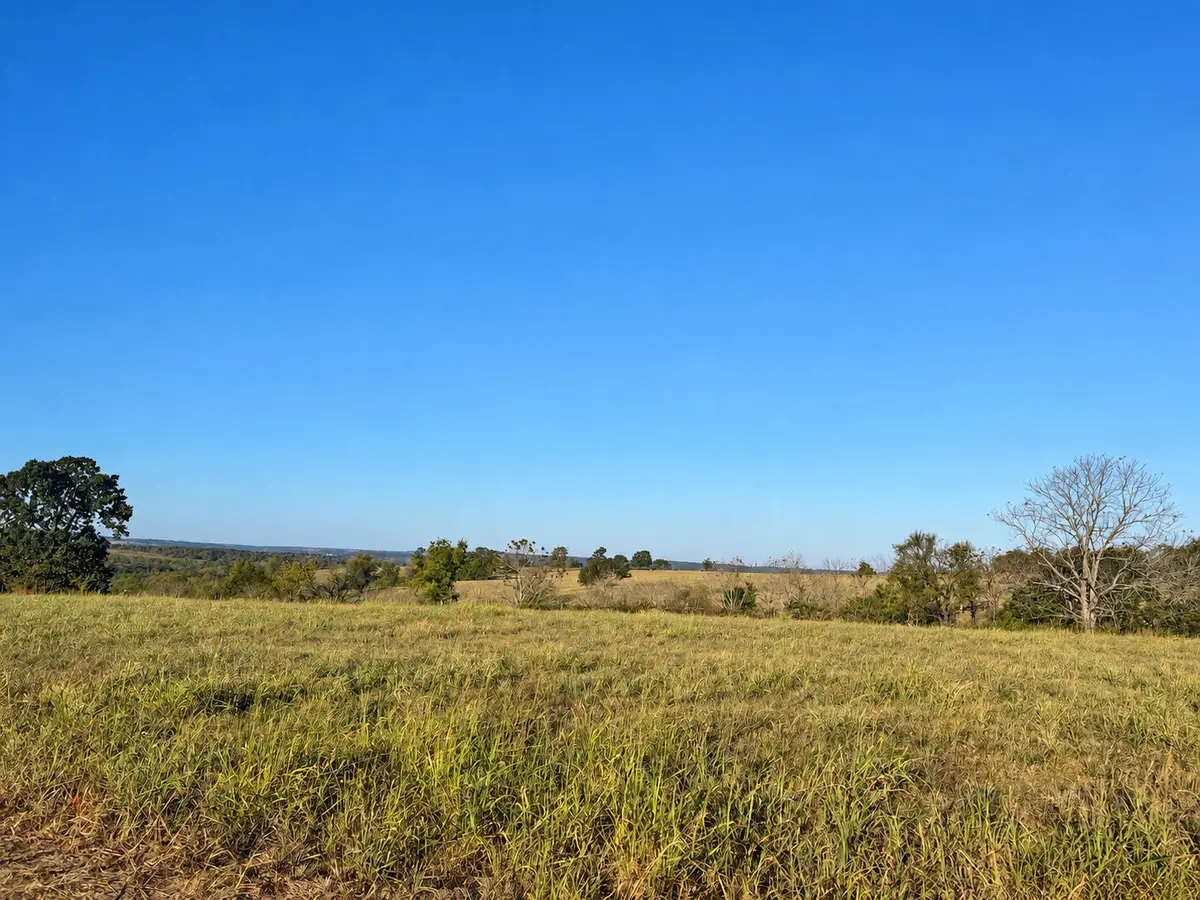000 W Lowery Road, Lead Hill, AR 72644 - #1