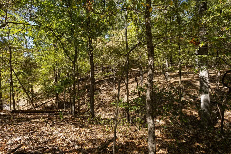 000 Farm Road 1247, Golden, MO 65658 - #2