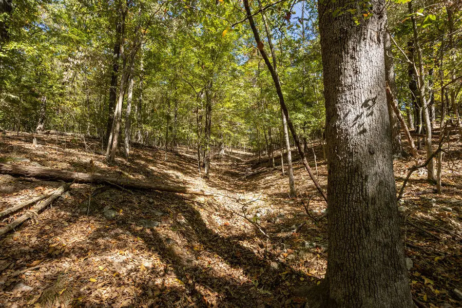 000 Farm Road 1247, Golden, MO 65658 - #3