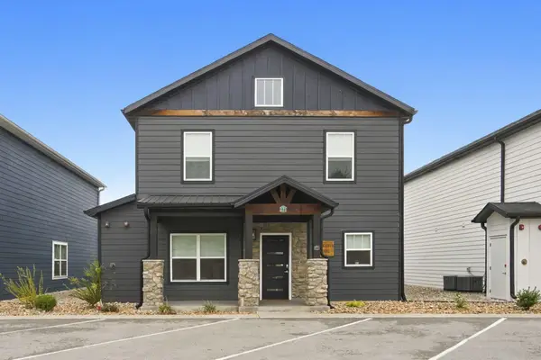 111 Chateau Mountain Lane, Branson, MO 65616