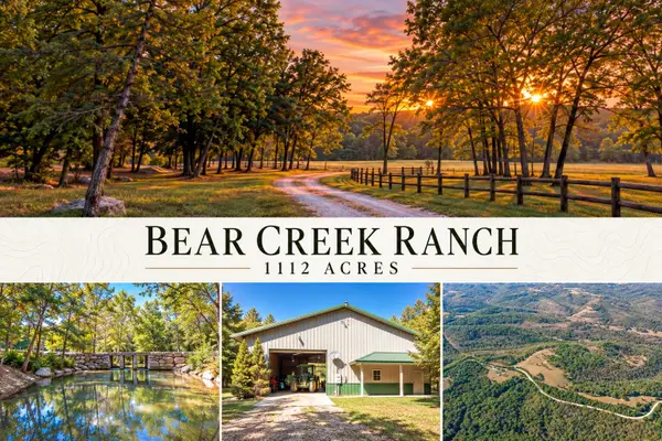 903 Reno Springs Road, Walnut Shade, MO 65771