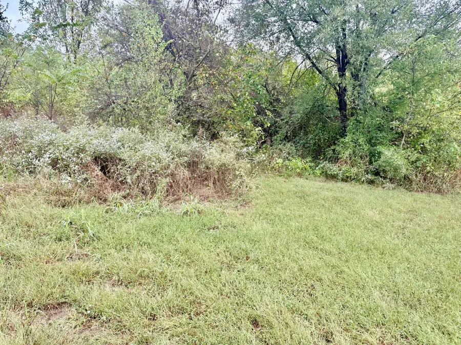 Lot 1 N Gymnasium Street, Everton, MO 65646 - #2