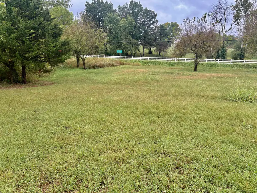 Lot 1 N Gymnasium Street, Everton, MO 65646 - #3