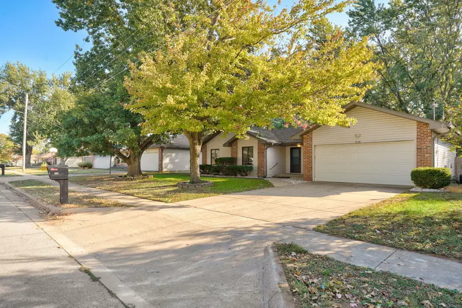 238 S Lulwood Avenue, Springfield, MO 65802 - #2