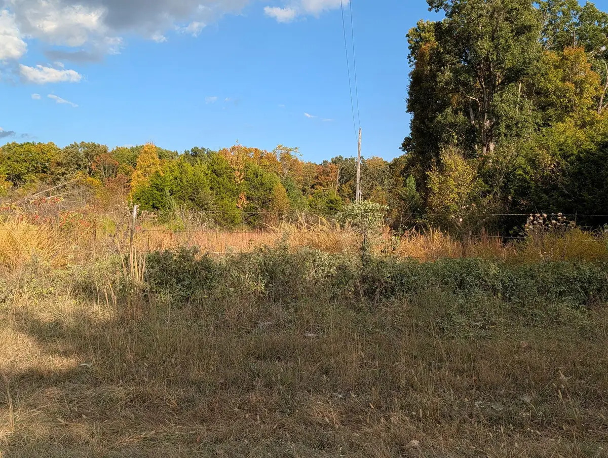 122 Zenar Road, Fordland, MO 65652 - #1