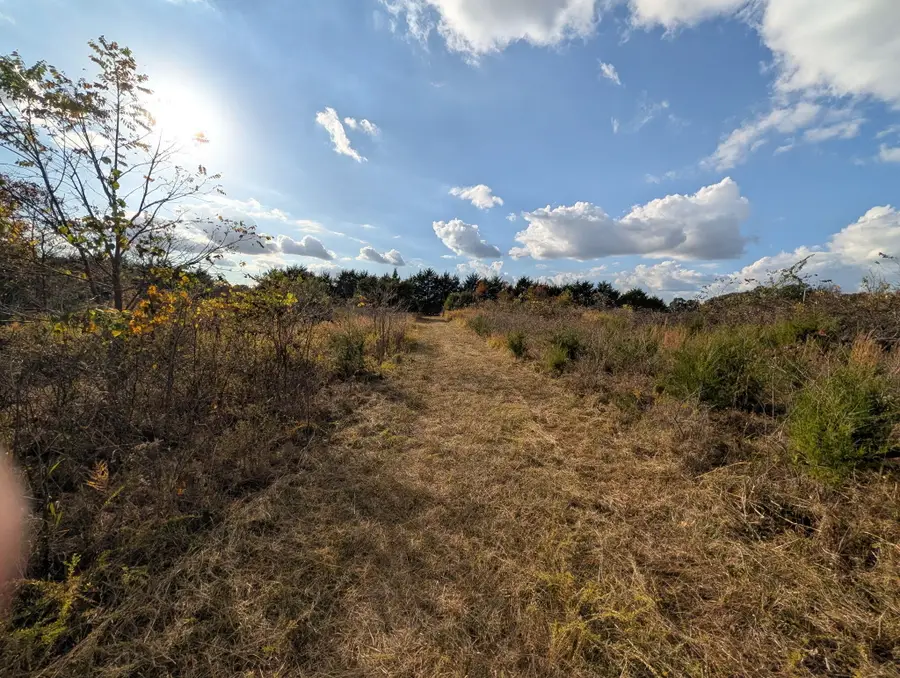 122 Zenar Road, Fordland, MO 65652 - #2