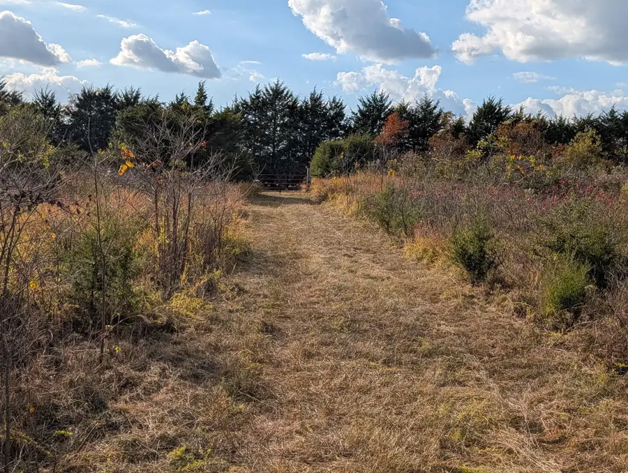 122 Zenar Road, Fordland, MO 65652 - #3