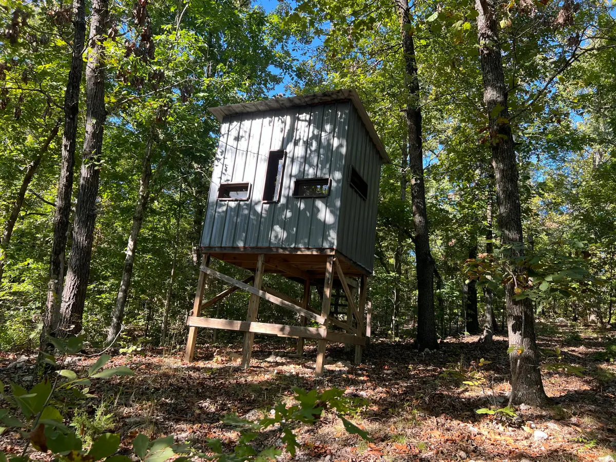 000 N River Oaks Trail, Mammoth Spring, AR 72554 - #1