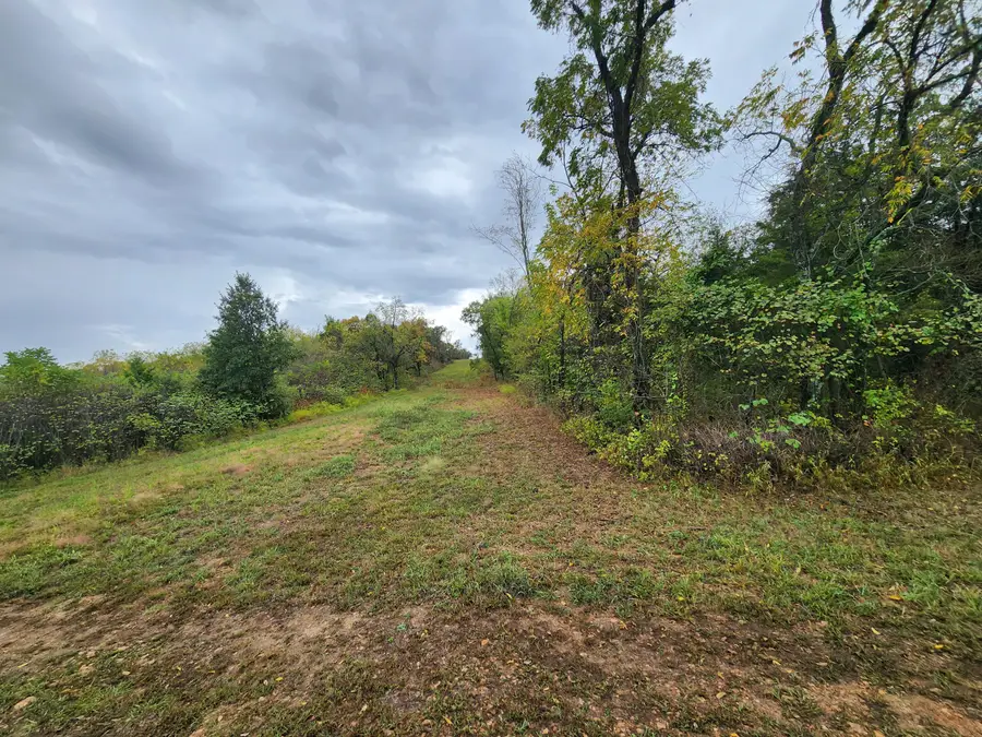 000 S Dade 181 S, Everton, MO 65646 - #2