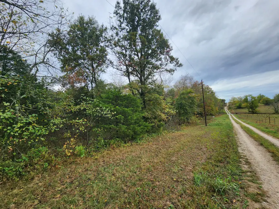 000 S Dade 181 S, Everton, MO 65646 - #3