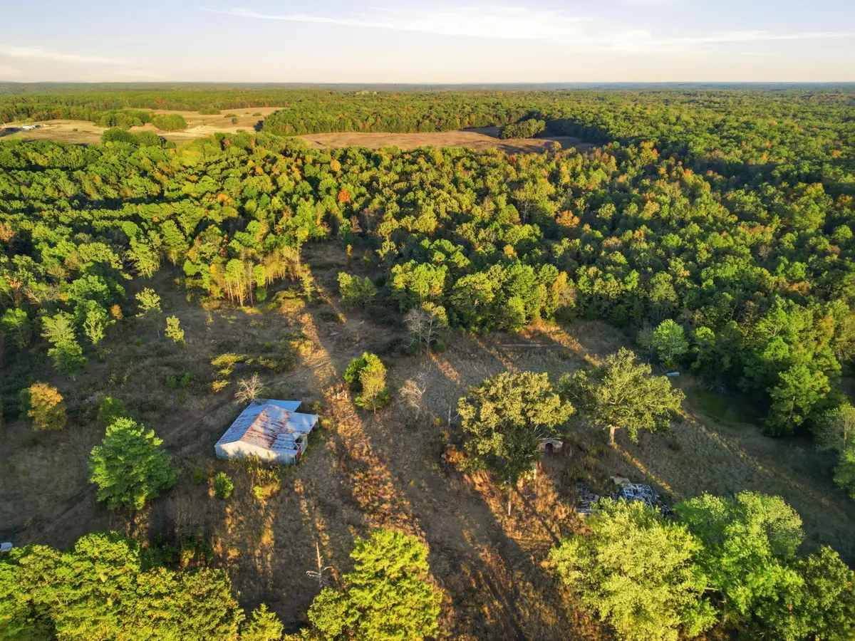 26412 County Road 349, Hartshorn, MO 65479 - #1