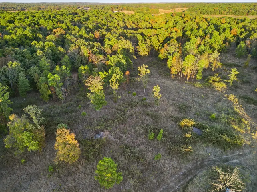 26412 County Road 349, Hartshorn, MO 65479 - #3