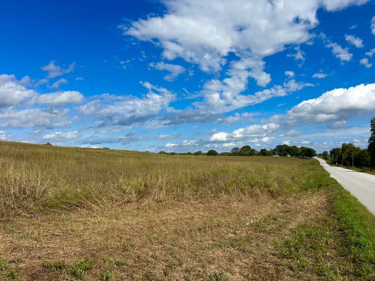 000 Us Highway 160, Theodosia, MO 65761 - #1