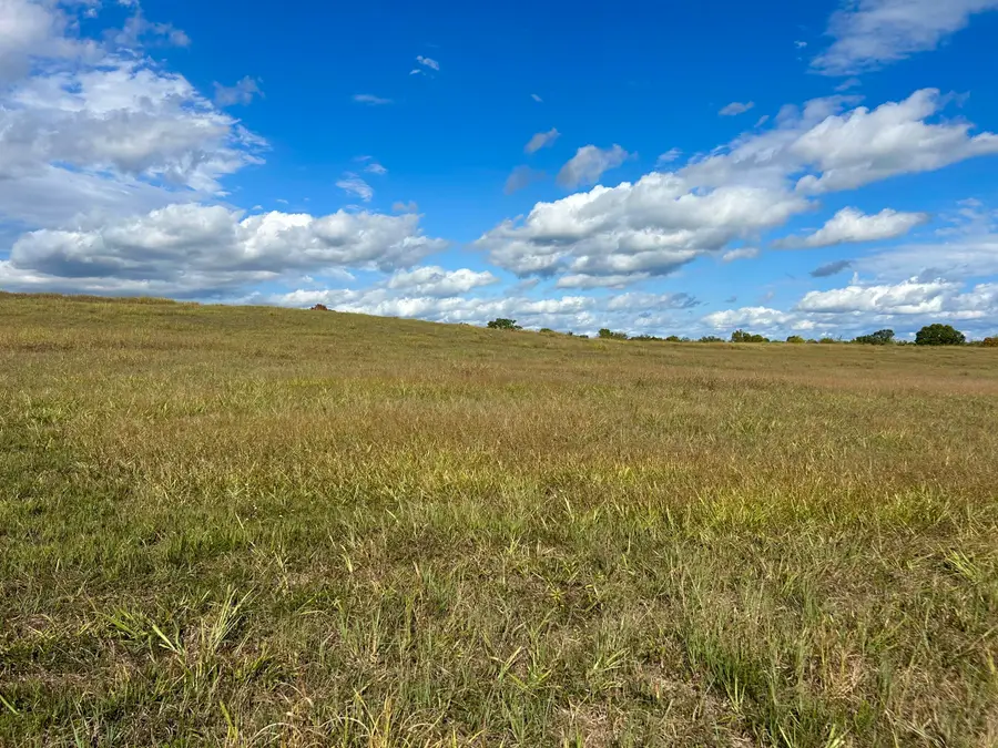 000 Us Highway 160, Theodosia, MO 65761 - #2