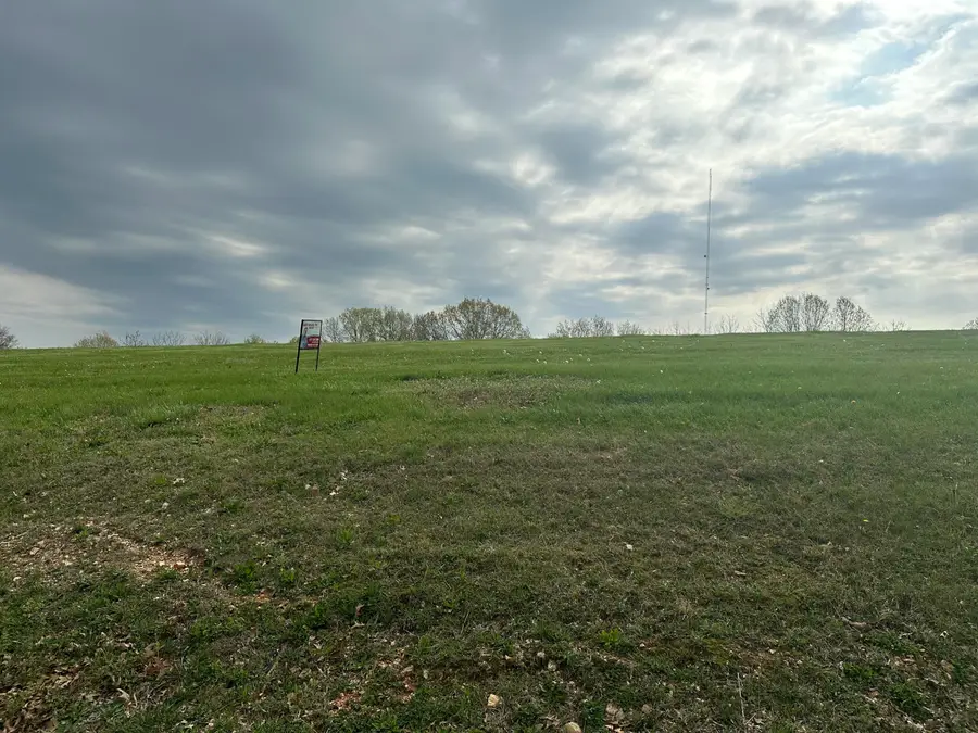290 Newbury Road #Lot 40b, Reeds Spring, MO 65737 - #2