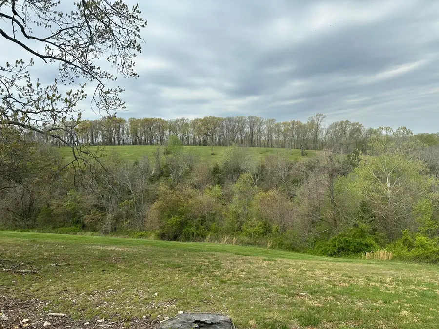 290 Newbury Road #Lot 40b, Reeds Spring, MO 65737 - #3