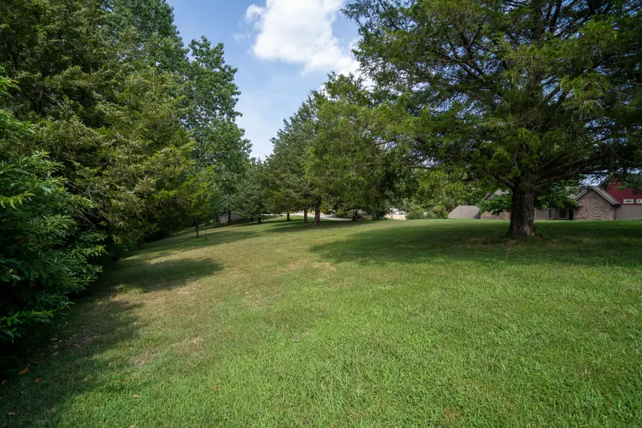 Lot 4 Johnson Way Lane, Kimberling City, MO 65686 - #2