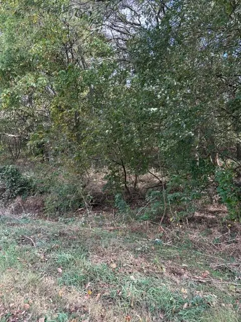 000 Lawrence 2207, Marionville, MO 65705 - #3