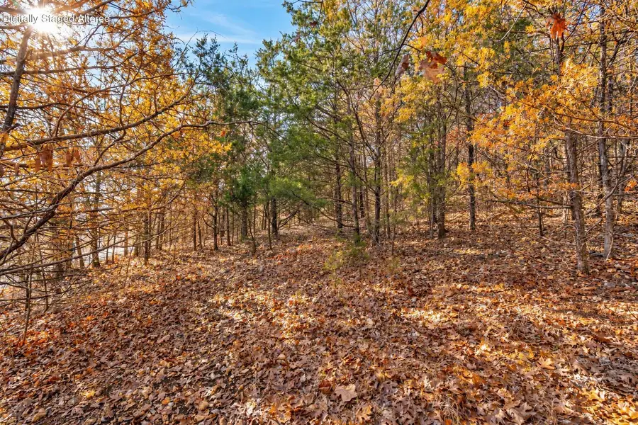 Lot 7 Elm Drive, Kimberling City, MO 65686 - #2